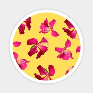 Bauhinia Flower Sunshine Yellow - Summer Flower Pattern Magnet